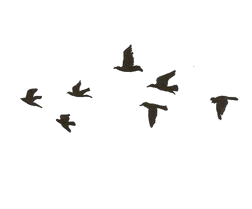 munnar adventures footer image